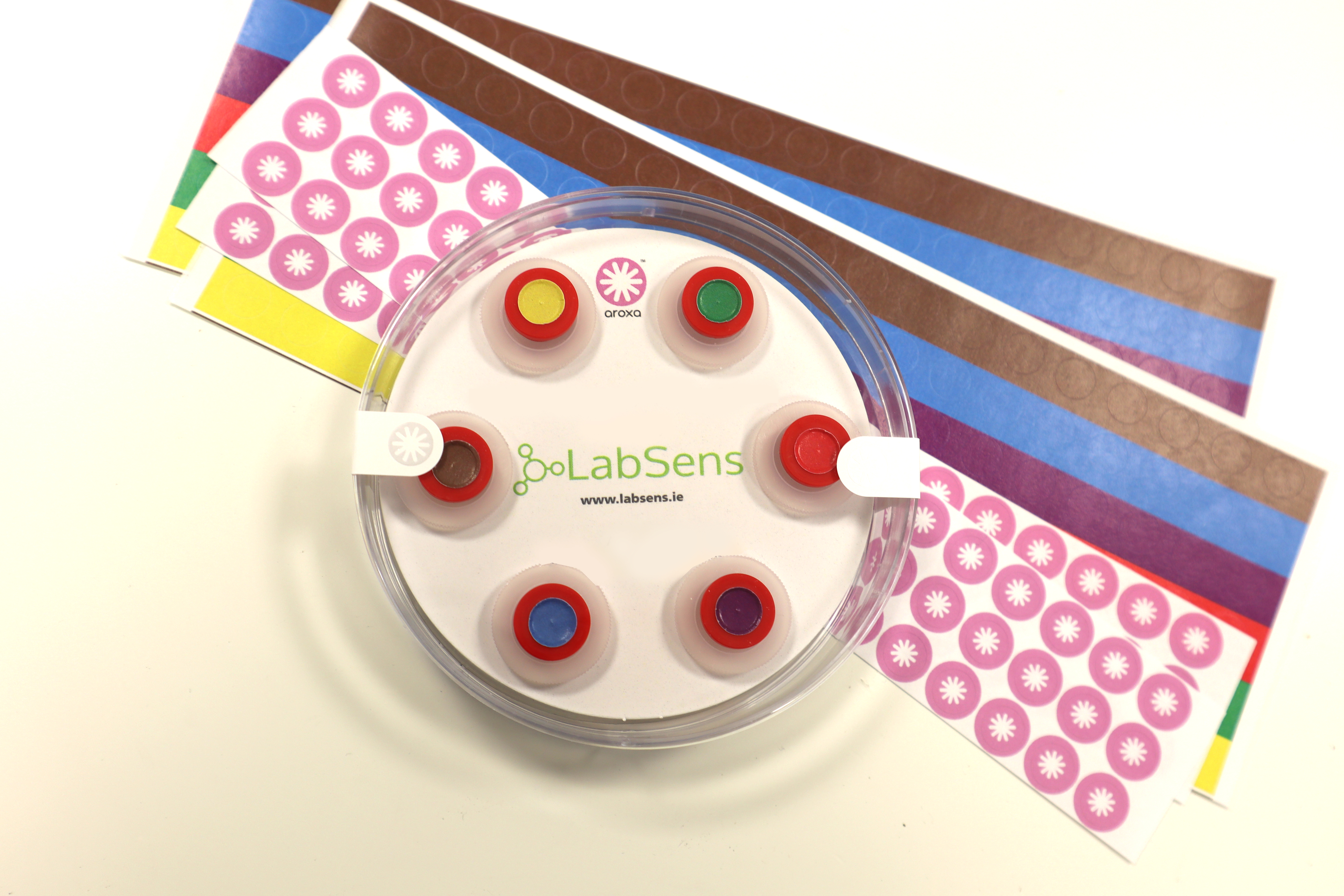 Work LabSens prof